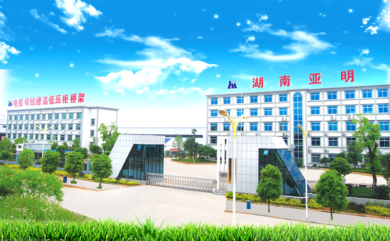 长沙亚明电子科技发展有限公司全景图